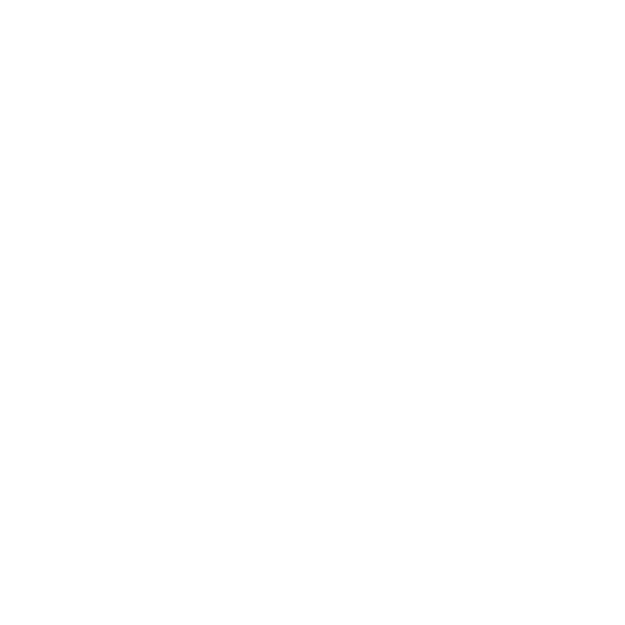 RakaCars Logo